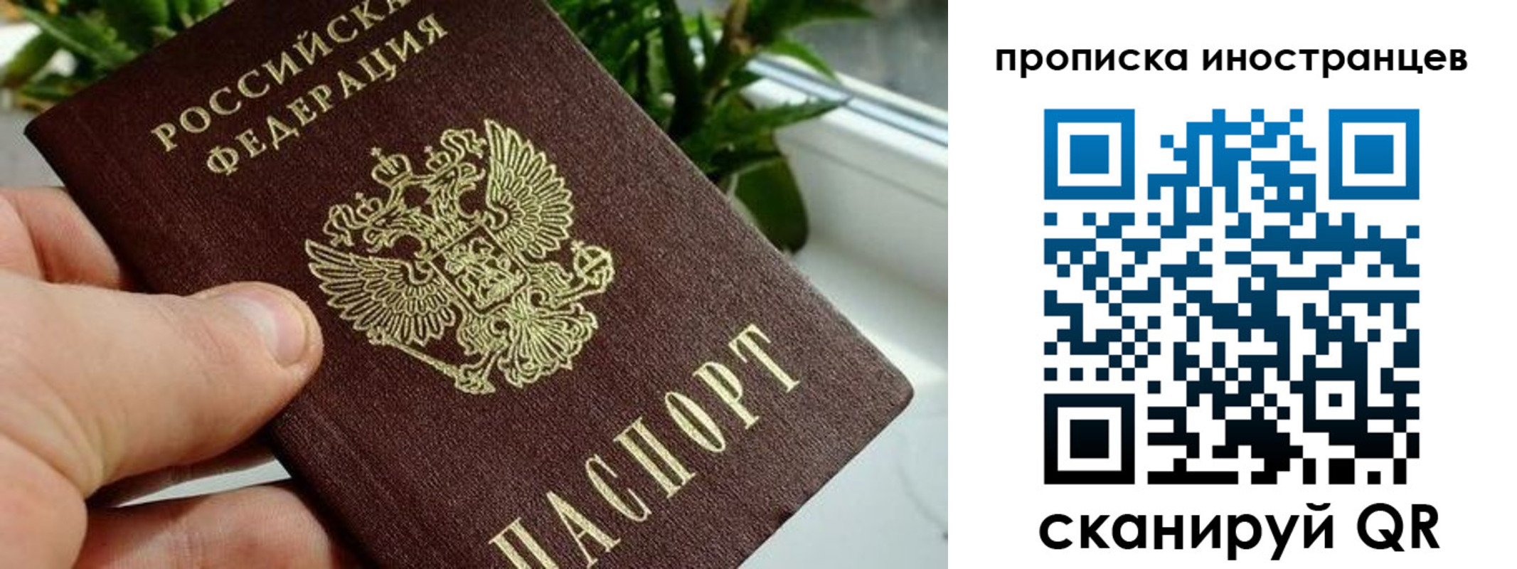 временная регистрация в Заозёрске